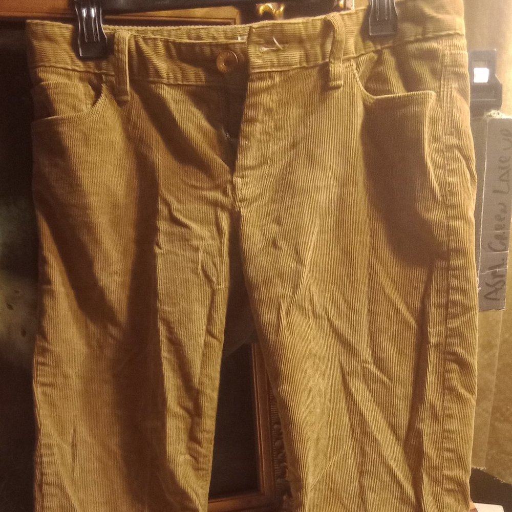 Banana Republic Skinny Cords